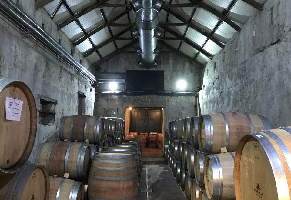 Bosman Wines Barrel Hall